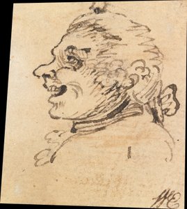 Grotesque Male Head